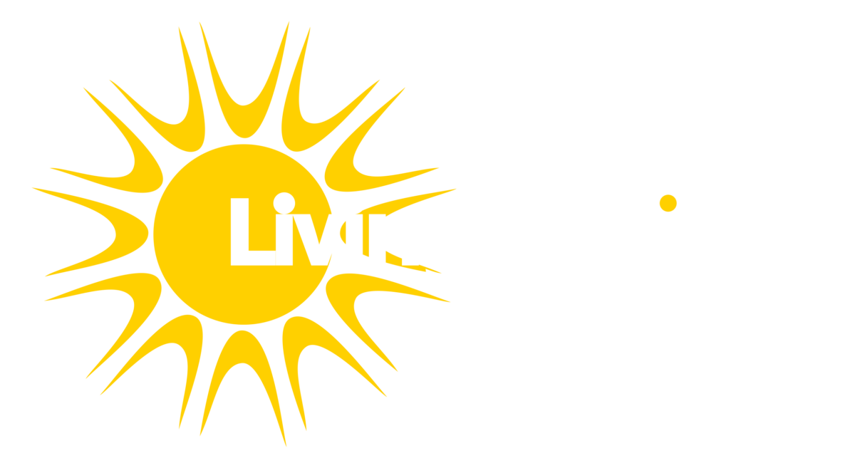 Living Options Devon Accessibility Matters logo